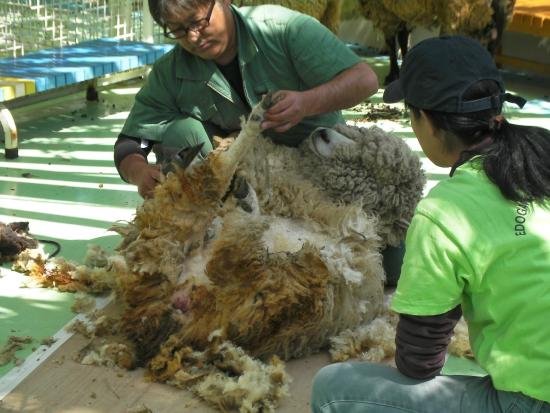 🌳 에도가와구 자연 동물원(에도가와쿠 시젠 도부츠엔) 이미지 8